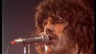 [1982] - Normaal live op Veronica's Rocknacht