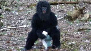 WORLD'S MOST SHOCKING BIGFOOT VIDEOS - 6