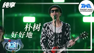 纯享：朴树《好好地》 | 2021江苏卫视跨年演唱会 | 腾讯音乐TME | 2021音乐流行