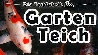 🐠 Gartenteich Test – 🏆 Top 3 Gartenteich im Test