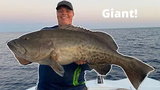 GIANT GAG GROUPER AND BARREL FISH (DEEP WATER FISHING)