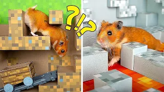 Incrível Labirinto de Mineсraft para um Hamster Ativo! 🐹❤️