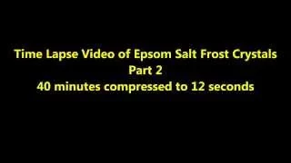 Time Lapse of Epsom Salt Frost Crystals Growth  Part 2