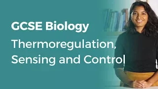 Thermoregulation, Sensing and Control | 9-1 GCSE Biology | OCR, AQA, Edexcel