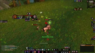 This is why i rolled druid for open world pvp
