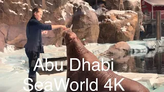 SeaWorld Abu Dhabi