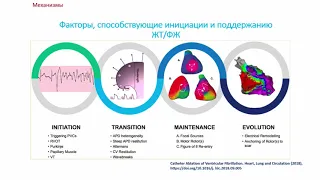 Ф.Г. Рзаев. Лечение аритмогенного шторма.