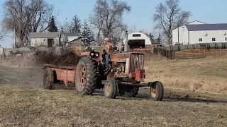 Farmall 656 Spreading Composted Hog Manure on Pasture