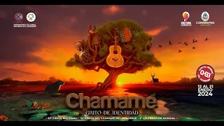 Fiesta Nacional del Chamamé 2024 - Sexta noche