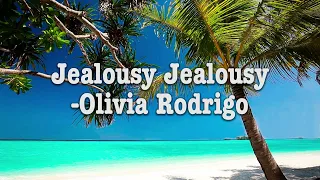 Jealousy Jealousy By Olivia Rodrigo Lyrics