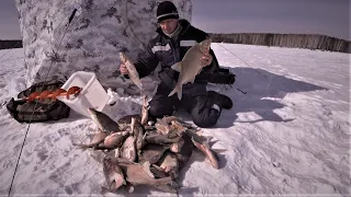 РЫБАЛКА МЕЧТЫ! ДВОЕ СУТОК в ДОМЕ на ЛЬДУ, ЛЕСКА ТРЕЩИТ от таких ЛЕЩЕЙ! День Рождения на рыбалке!