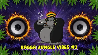 Ragga Jungle Drum & Bass Vibes #3 (Reggae DnB Mix)