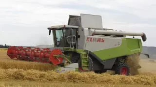 Žně 2017 Ozimý ječmen - Claas lexion 560 / John deere, Fendt, Zetor