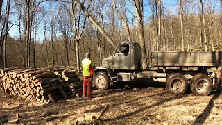 Logging, Cave Adventure and Firewood Hauling on V3S, Amles, Stihl, Zetor, Forestwork