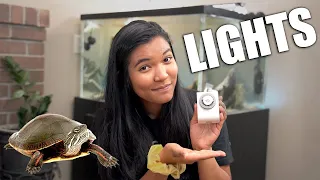 How Long Should The Lights Stay On? | Turtle Tank Timers and Lighting