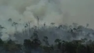 Smoke from burning fires visible in the Amazon