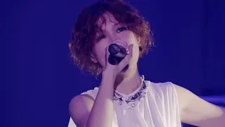 大塚 愛 - チケット(LOVE IS BORN ～10th Anniversary 2013～)