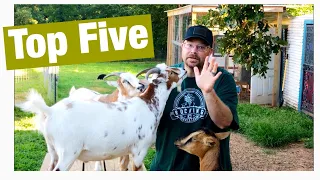 Top Five Things You Should Know Before You Buy Goats