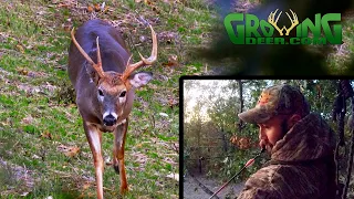 Hunting the Pre-Rut When Anything Can Happen! Like Tagging An Old Ozark Mountain Buck!