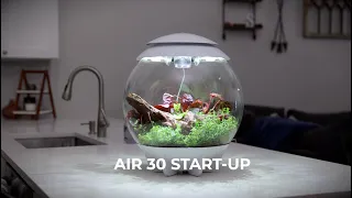 AIR 30 Terrarium How-To | Start-Up