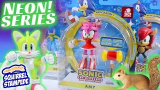 Sonic the Hedgehog Amy Rose and NEON Action Figures 30th Anniv. Series Review