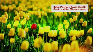 Bebe Rexha x David Guetta - One In A Million ( Dj Junior Remix )