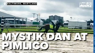 Kentucky Derby winner Mystik Dan practices at Pimlico ahead of Preakness Stakes