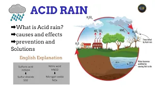 What is Acid Rain its Meaning, Definition,  Causes  Effects and Solutions in English