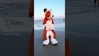This song tho 😫 #furry #furries #fursuit #viral #tiktok #fyp #shorts