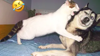 New Funny Animals | Funny Dogs And Cats Videos 2024 | The FUNNIEST Pets Videos | Best Compilation🤣