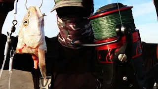 This is why you throw BIG BAITS in the SURF! {Catch Clean & Cook} *GRAPHIC*