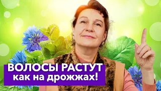 РЕЦЕПТ СТАРИННОГО БАЛЬЗАМА ДЛЯ ВОЛОС, который трижды спас меня от облысения!