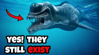 Whales You Won’t Believe Actually Exist