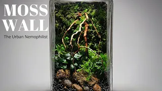 Moss Wall Terrarium || How to make a moss wall terrarium