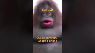 Скажи наоборот