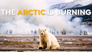 Are We Making it Worse? | Arctic Wildfires