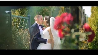 Александр и Анна | Wedding clip