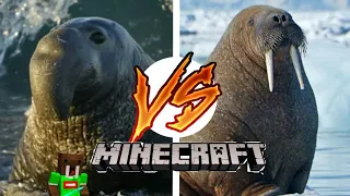 морской слон против моржа!!! Elephant seal vs walrus !!!!