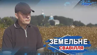 Захопили землю і посіяли гречку: хто обробляє без дозволу все, що бачить