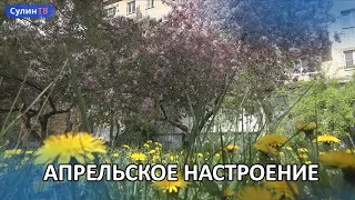 Апрельское настроение