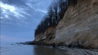 Finding Fossils on a Beautiful Day | Calvert Cliffs Fossil Hunt