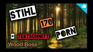 Stihl MS 170 Testschnitt Plus kleine Vorstellung (Chainsaw Porn) #Stihl #WoodBoss