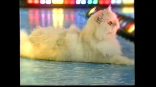 America's Greatest Championship Pets TV Spot (1999)