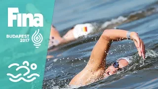 The world's bravest open water Swimmers at #FINABudapest2017