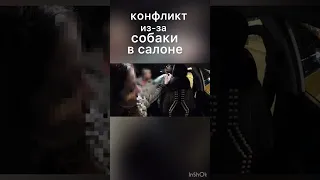 КОНФЛИКТ ИЗ-ЗА СОБАКИ В САЛОНЕ 🤦🏻‍♂️🤦🏻‍♂️