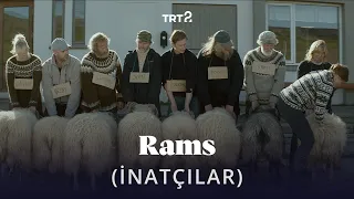 Rams (İnatçılar) | Fragman