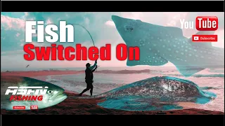 Fish switched on | Surf fishing South Africa | ASFN Rock & Surf