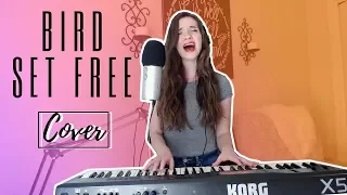 BIRD SET FREE by Sia (cover)