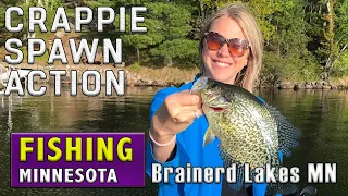 How to Catch Spawning Crappie in the Brainerd Lakes MN Area