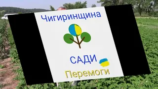 САДИ ПЕРЕМОГИ ЧИГИРИНСЬКА ТЕРИТОРІАЛЬНА ГРОМАДА КУ"Територіальний центр соціального обслуговування "